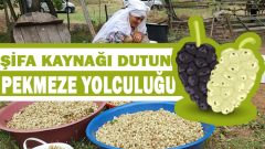 Dut pekmezi nasıl yapılır? faydaları nelerdir?