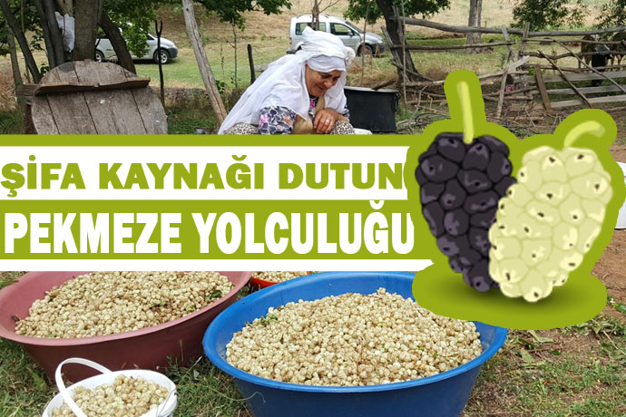 Dut pekmezi nasıl yapılır? faydaları nelerdir?