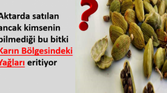 Bu Bitki Karın Bölgesindeki Yağları Eritiyor