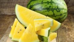 Sarı Karpuzu Biliyor musunuz Faydalarını Öğrenenler Almak İçin Sıraya Giriyor