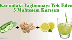 Karındaki Yağlanmayı Yok Eden 5 Muhteşem Karışım