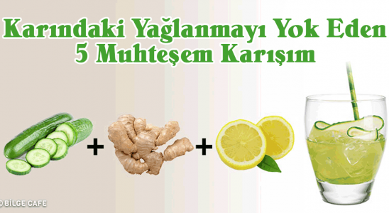 Karındaki Yağlanmayı Yok Eden 5 Muhteşem Karışım