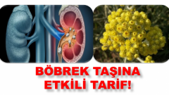 Yılların Çileli Hastalığına ve Bir Çok Rahatsızlığa Son Veren Bitki