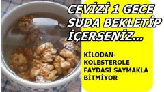 Ceviz Suyunu Daha Önce Denemediyseniz Artık Tüketmenizin Zamanı Geldi