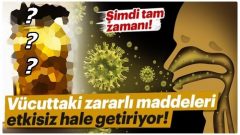 Bu Kadar Farklı Faydasını Öğrenince Evinizden Onu Eksik Etmeyeceksiniz