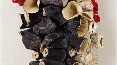 Kış İçin Hazırlıklar Kuru Dolmalıklar