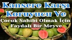 Kansere Karşı Koruyucu Ve Çocuk Sahibi Olmak İçin Faydalı Bir Meyve