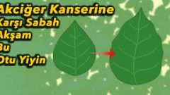 Akciğer Kanserine Karşı Birebir