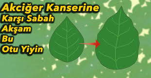 Akciğer Kanserine Karşı Birebir