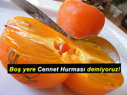 Boş Yere Cennet Hurması Demiyoruz