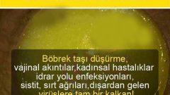 Doğal Antibiyotik ve Kadınsal Hastalıklara Şifa