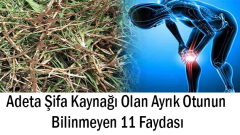 Adeta Şifa Kaynağı Olan Ayrık Otunun Bilinmeyen 11 Faydası