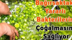 Bağırsağı Temizleyen Besinler