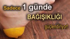 Sadece 1 Günde Bağışıklığı Güçlendiriyor
