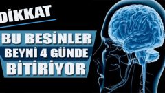 Beyni 4 Günde Bozan Besinler