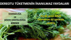 Dereotu Tüketmenin Kanıtlanmış Faydaları