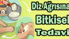 Diz ağrıları için bitkisel kür