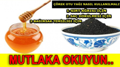 Doğal Kanser İlacı Çörek Otu Bal Karışımı..