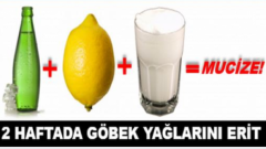 Limon – Ayran – Soda Kürünü Kullanarak 2 Haftada Göbek Yağlarını Eritebilirsiniz