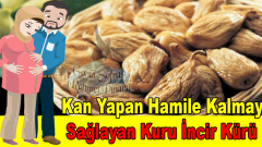 Kan Yapan Hamile Kalmayı Sağlayan Kuru İncir Kürü
