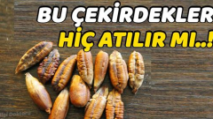 Hurma Çekirdeğini Atmayın – Hurma Çekirdekleri Nasıl Kullanılır?