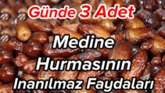 Günde 3 adet Medine hurmasının inanılmaz faydaları