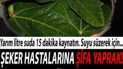 Diyabette İncir Yaprağı Faydaları