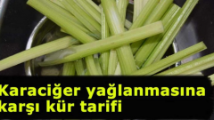 Karaciğer Yağlanmasına Karşı Kür Tarifi