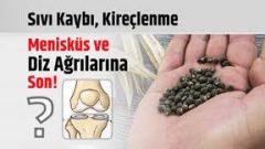 Kireçlenme, Sıvı Kaybı, Menisküs ve Diz Ağrılarına Son..