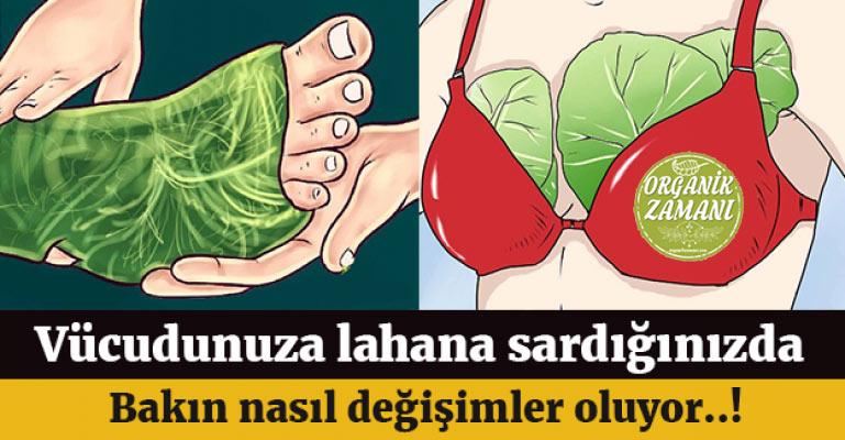 Vücudunuza Lahana Yapraklarını Neden Sarmalısınız?