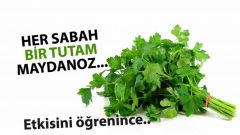 Güne Maydanoz Yiyerek Başlamanız için Bilmeniz Gerekenler