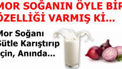 Mor Soğanı Sütle Karıştırıp için! Anında..