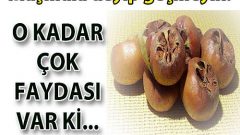 Muşmulanın Faydaları