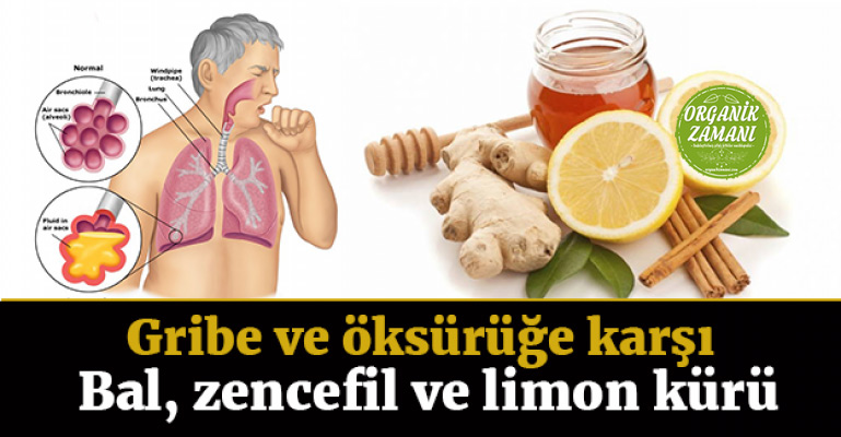 Gribe Ve Nezleye Karşı Bal, Zencefil Ve Limon Kürü