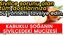 Kabuğu ile Kaynatılan Soğanın Suyunu İçmek Sivilceleri Yok Ediyor
