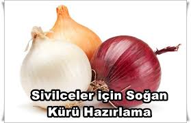 Kabuğu ile Kaynatılan Soğanın Suyunu İçmek Sivilceleri Yok Ediyor