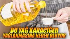 Bu yağlar karaciğer yağlanması yapıyor!
