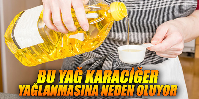 Bu yağlar karaciğer yağlanması yapıyor!