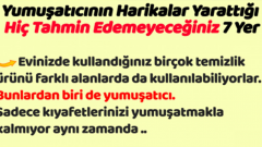 Yumuşatıcının Harikalar Yarattığı Hiç Tahmin Edemeyeceğiniz 7 Yer