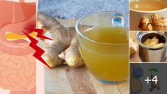 Zencefil Çayı İle Göbek Yağlarınızı Yok Edin