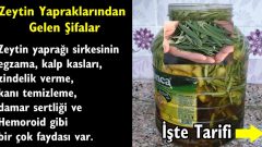 Zeytin Yapraklarından gelen Şifalar Bu mucize sirke tarifi