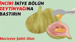 Zeytinyağı ve İncir İle Gelen Şifa