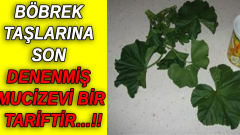 Böbrek Taşlarına Denenmiş Mucize Tarif