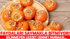 Devamını Okuyun…