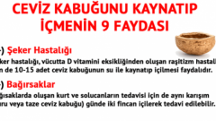 Ceviz kabuğunun inanılmaz faydaları