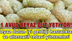 Beyaz dutun iyi geldiği hastalıklar ve alternatif tedavi yöntemleri