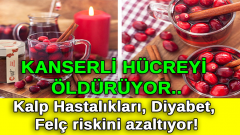 Kızılcık Suyu Şerbeti Faydaları ve Yapılışı
