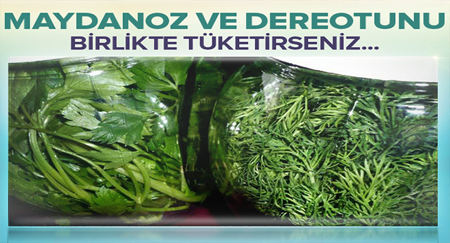 Maydanoz ve dereotunu mutlaka birlikte yemelisiniz çünkü…