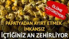 Papatyadan ayırt etmek zor! Faydalı diye satılıyor ama tehlike saçıyor