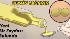 Zeytin Yağının Yeni Bir Faydası Bulundu